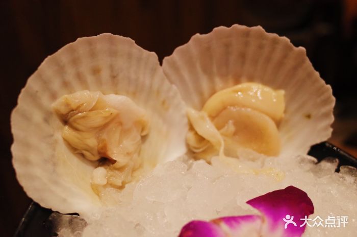 就是泰just thai泰式火锅(长寿路店)扇贝图片