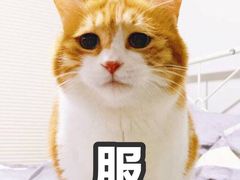 -临潼印象·特色陕菜