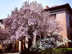 -天津五大道文化旅游区