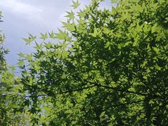 -蠡湖大桥公园