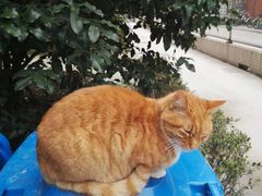 -华东理工大学-图书馆