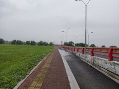 -漕湖湿地公园