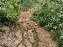 -青龙山国家森林公园