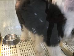 -乐宠宠物店(世纪金源店)