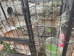 -马陆小张葡萄园农家乐