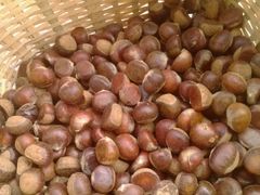 android_upload_pic-加顺农场餐厅