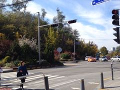 iphone_upload_pic-梨泰院