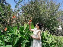 -武汉紫薇都市田园