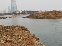 -八大关景区
