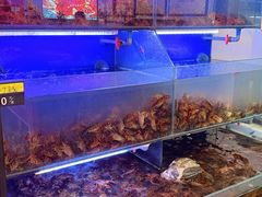 -虾铺子龙虾·私房菜(金源花苑店)