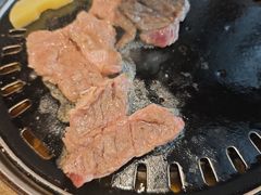 -杨小佳·齐齐哈尔烤肉·烤串(广州店)