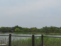 -长广溪湿地公园