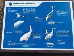 -盐城丹顶鹤湿地生态旅游区