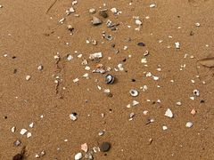 -金梦海湾浴场