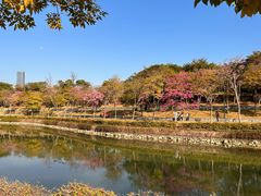 -深圳人才公园