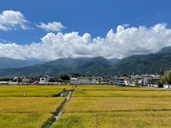 -喜林苑·稻田餐厅(品相府店)