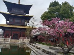 -广富林郊野公园