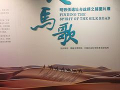 -南越王博物院(王宫展区)
