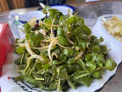 -山里人家