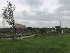 -紫颐香薰山谷景区