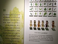 -中国湿地博物馆
