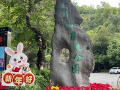 -板樟山森林公园