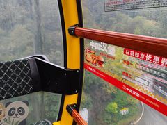 -栾川竹海野生动物园