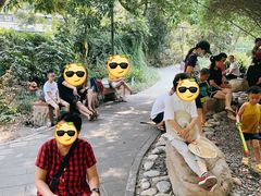 -成都市活水公园