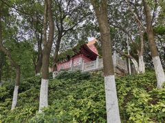 -沙市市中山公园