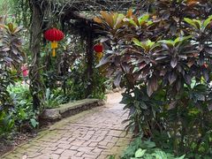 -海南热带野生动植物园