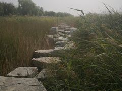 -绿堤公园