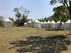 -上海长兴岛郊野公园