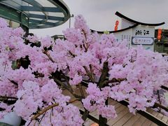 -南方迷宗大包(湖滨店)