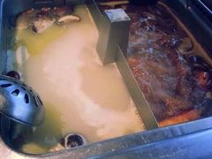 -海底捞火锅(泉城路店)