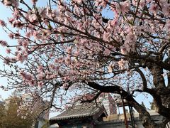-元大都城垣遗址公园