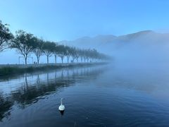 -大九湖