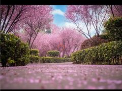 -东湖生态旅游风景区