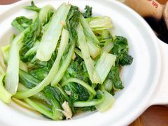 -罗妈砂锅(四川成都奎星楼店)