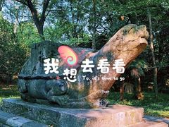 -灵谷景区