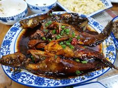 红烧昂刺鱼-洞天食府(北大街店)