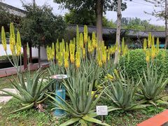 -广州神农草堂中医药博物馆