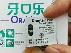 -爱侣宠医·鹦鹉专科·小型哺乳类·异宠专科(灵石路店)