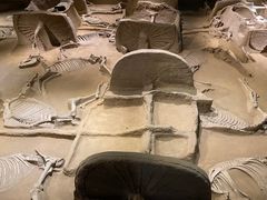 -洛阳周王城天子驾六博物馆