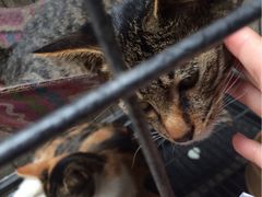 iphone_upload_pic-沐恩堂