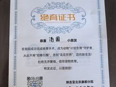 -纳吉亚猫专科动物医院(康都外科中心)