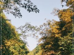 -华蓥山天意谷景区