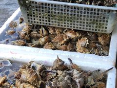 -外伶仃岛海鲜市场