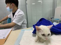 -莘程宠物医院(金山店)