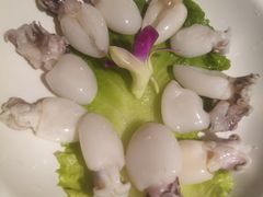 -锅说大脸毛肚重庆老火锅(佐阾店)