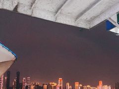 -武汉两江游览·夜游长江(汉口粤汉码头)